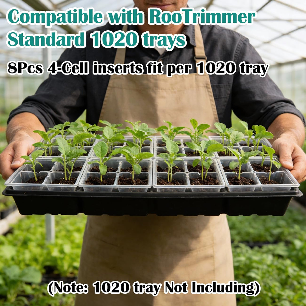 Trays fit standard 1020 trays for easy propagation setup