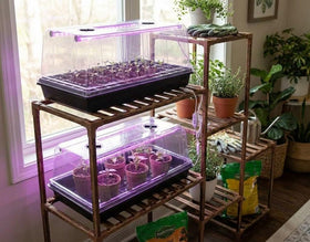 RooTrimmer 72-cell plug tray facilitates downward root growth