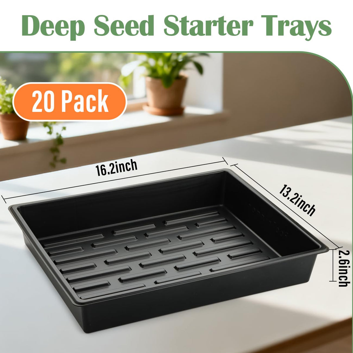 RooTrimmer deeper-trays provide stable soil retention during handling.