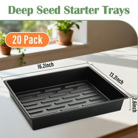 RooTrimmer deeper-trays provide stable soil retention during handling.