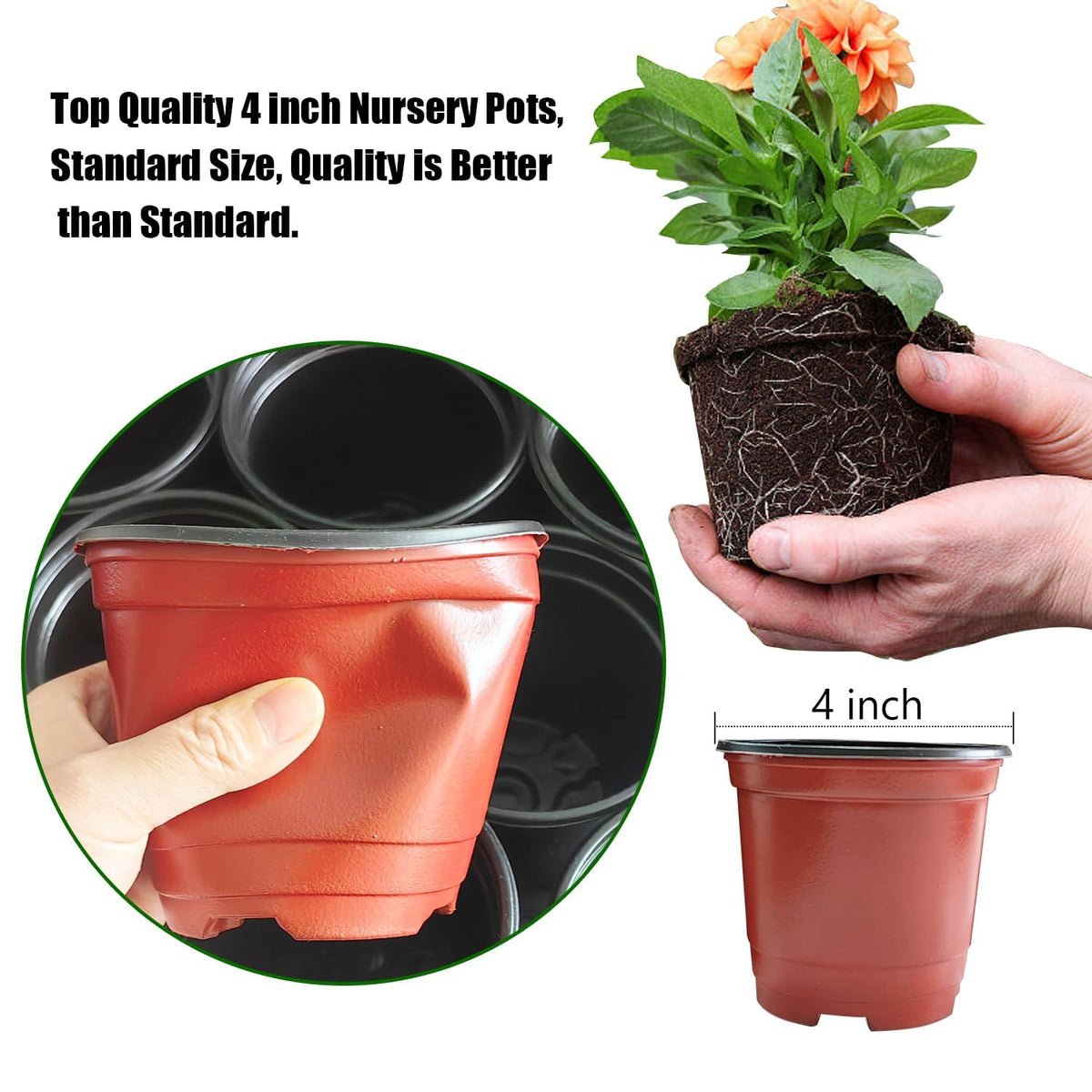 RooTrimmer drainage bottom holes promote healthy watering and drainage.