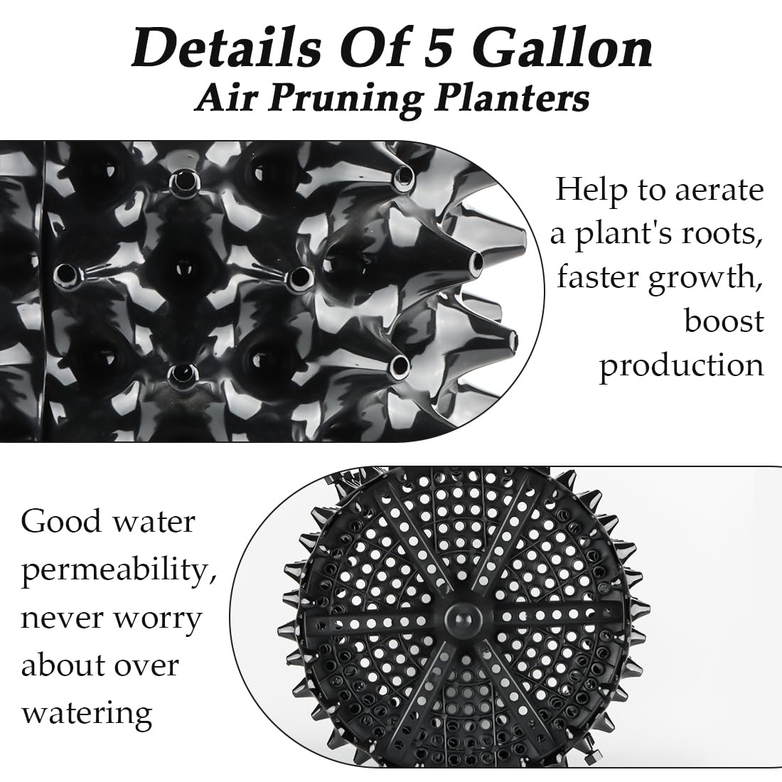 RooTrimmer drainage hole layout promotes even moisture and prevents overwatering