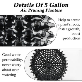 RooTrimmer drainage hole layout promotes even moisture and prevents overwatering