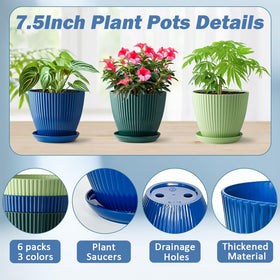 RooTrimmer pot includes drainage holes and saucer to prevent water stains.
