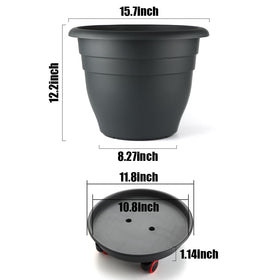 RooTrimmer drainage holes promote healthy root drainage in large pots.