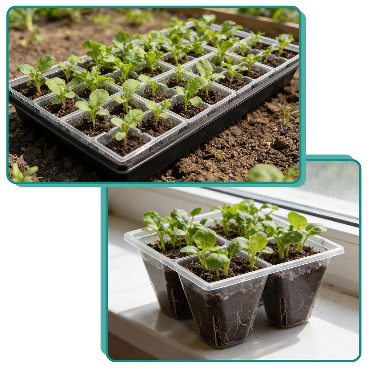 RooTrimmer trays endure repeated seasons for steady gardening
