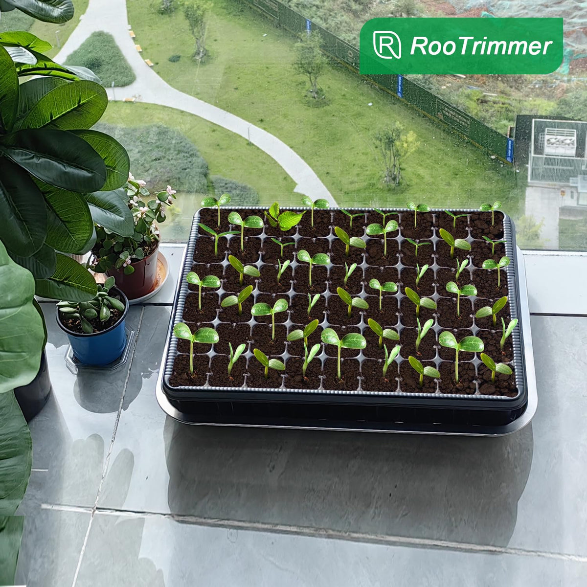 RooTrimmer easy-transplant tray minimizes root disturbance during transplant