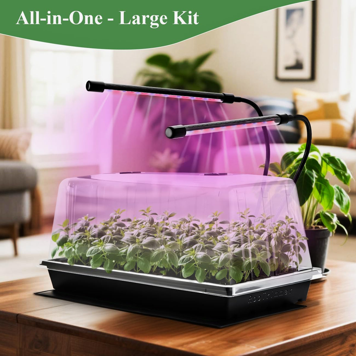 RooTrimmer easy-view dome lets you monitor progress without disturbance.