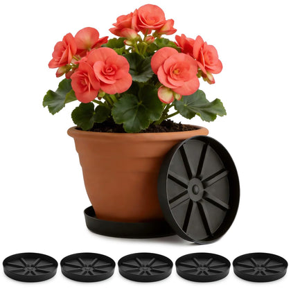 RooTrimmer elevated base saucer lifts pots for better drainage and airflow.