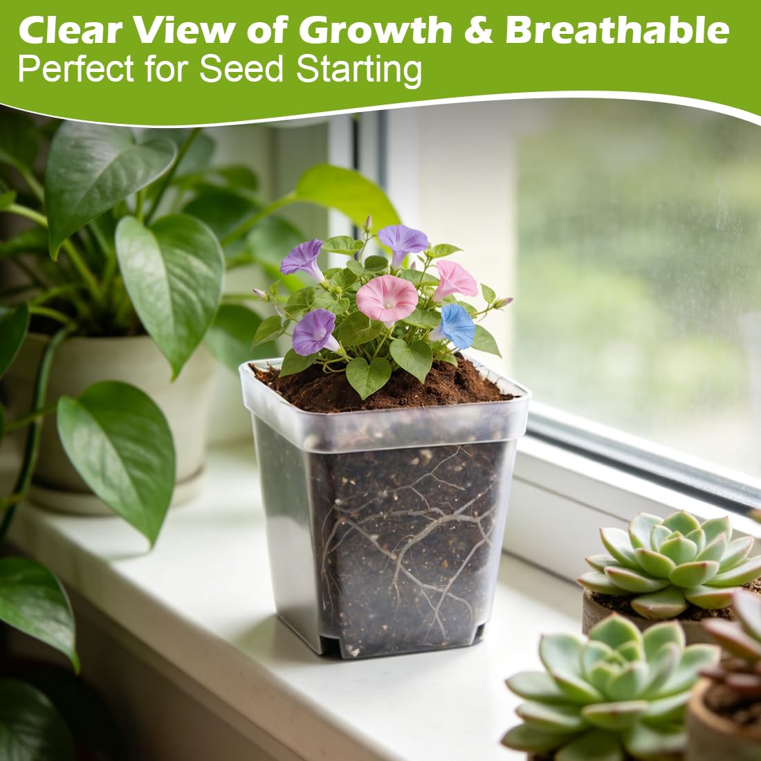 RooTrimmer flexible material allows gentle root release during transplant.