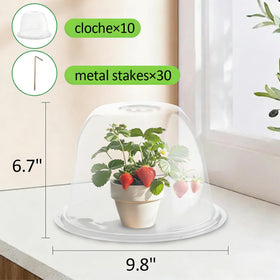 RooTrimmer garden cloche transparent dome shows high light transmission for healthy growth