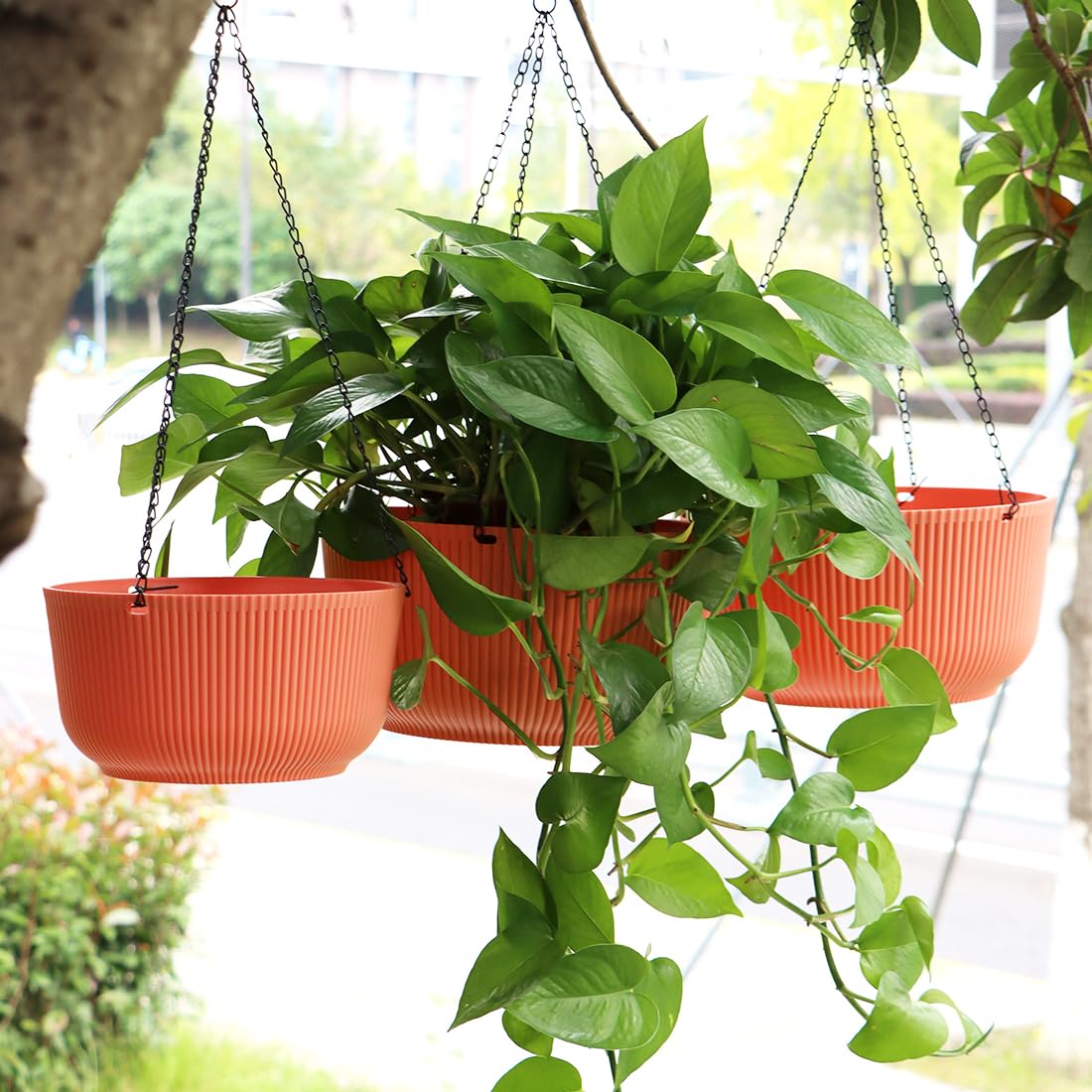 RooTrimmer hanging planter 10-inch matte orange for versatile decor.