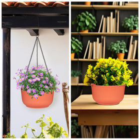 RooTrimmer removable chains enable tabletop display options.