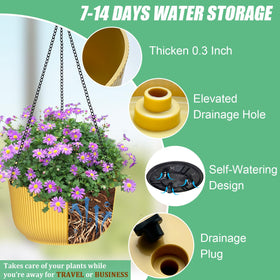 RooTrimmer self-watering hanging planter highlights water balance for low-maintenance indoor plants.