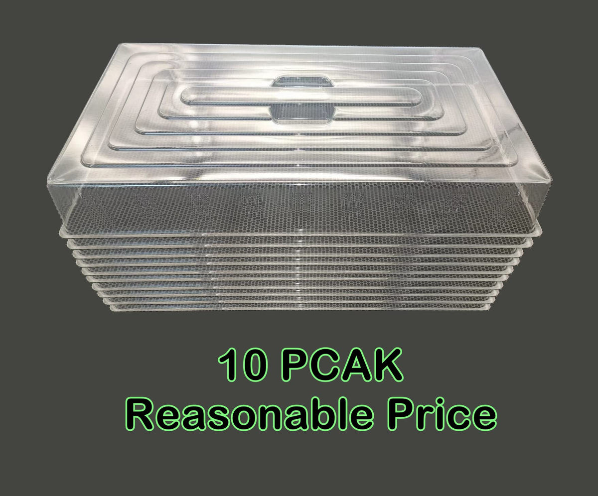 Humidifying dome from RooTrimmer accelerates germination by maintaining consistent humidity.