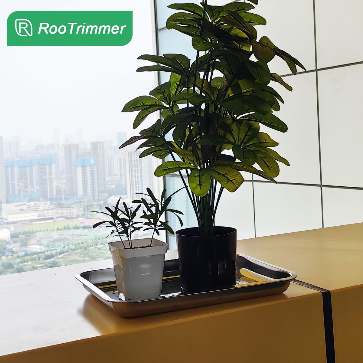 RooTrimmer indoor garden with stainless trays for organized growing.