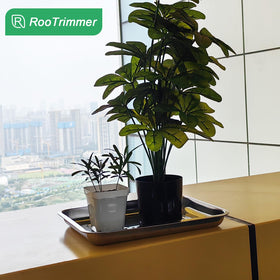 RooTrimmer indoor garden with stainless trays for organized growing.