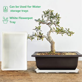 RooTrimmer indoor gardening tray helps prevent soil splashes and leaks.