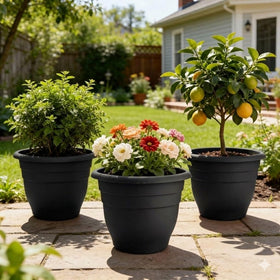 RooTrimmer indoor-outdoor plant pot suitable for patios, balconies and living rooms.