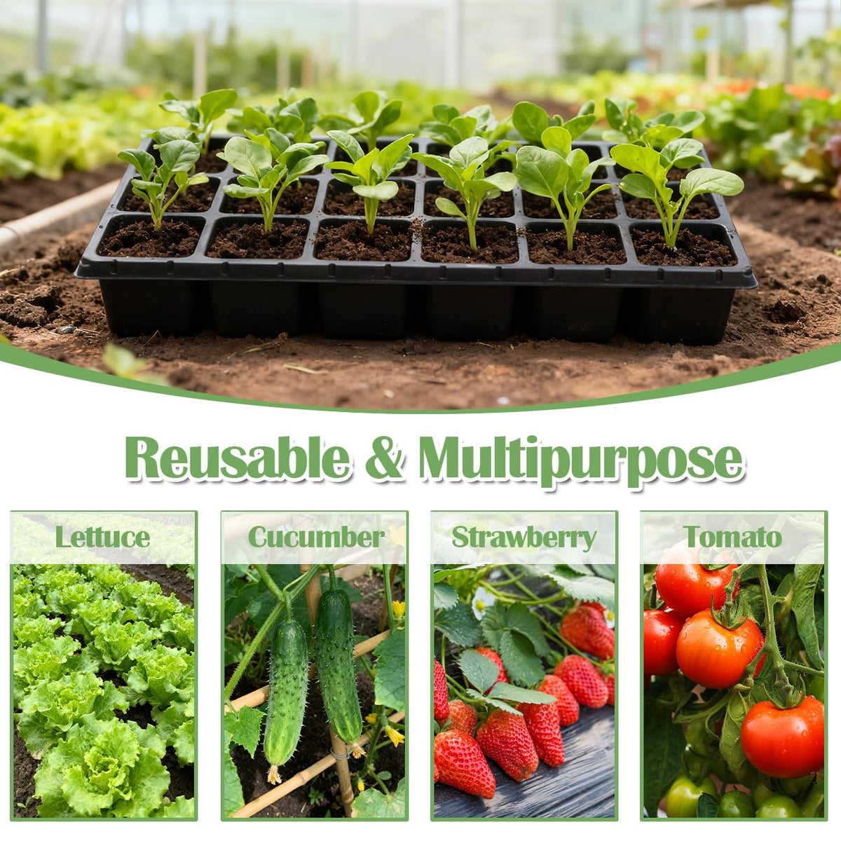 RooTrimmer indoors and outdoors usage emphasizes versatile garden compatibility
