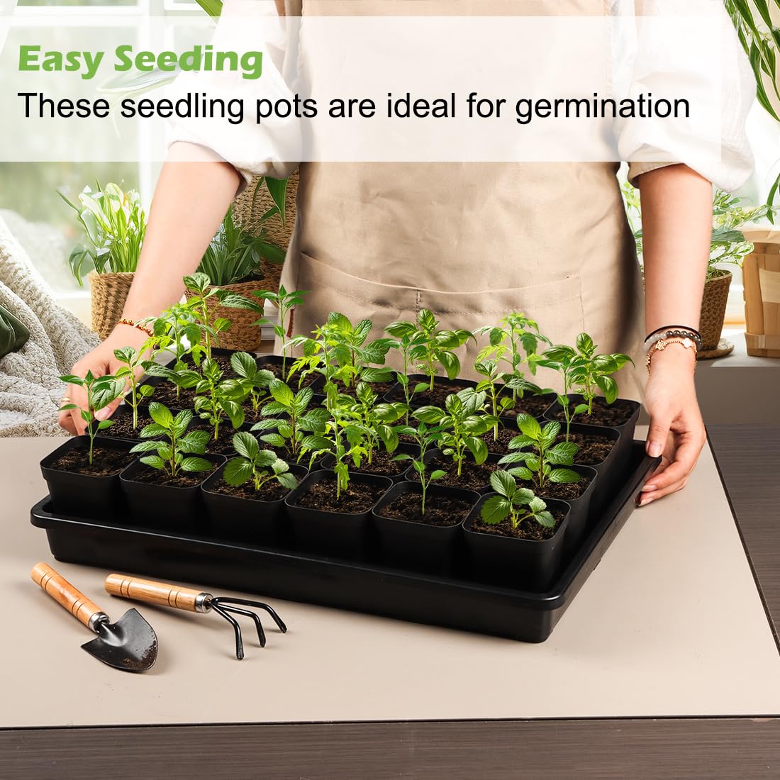 RooTrimmer ideal for indoor to outdoor seed starting.
