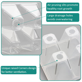 RooTrimmer tray features large drainage holes and air pruning for healthy roots