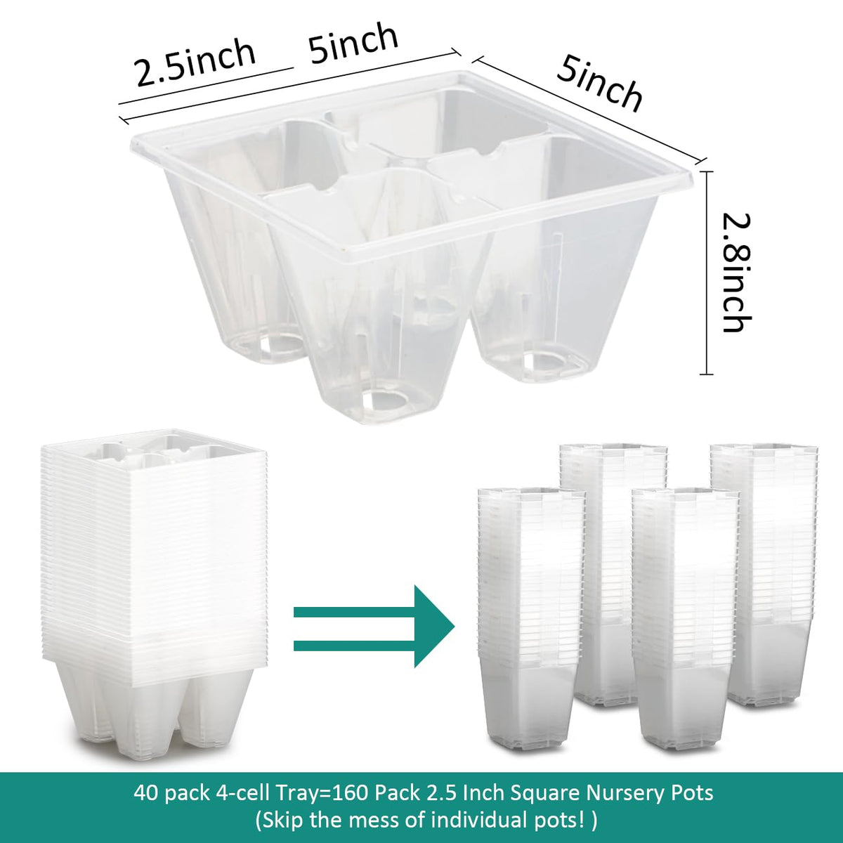 Durable BPA-free RooTrimmer seed trays ready for reuse