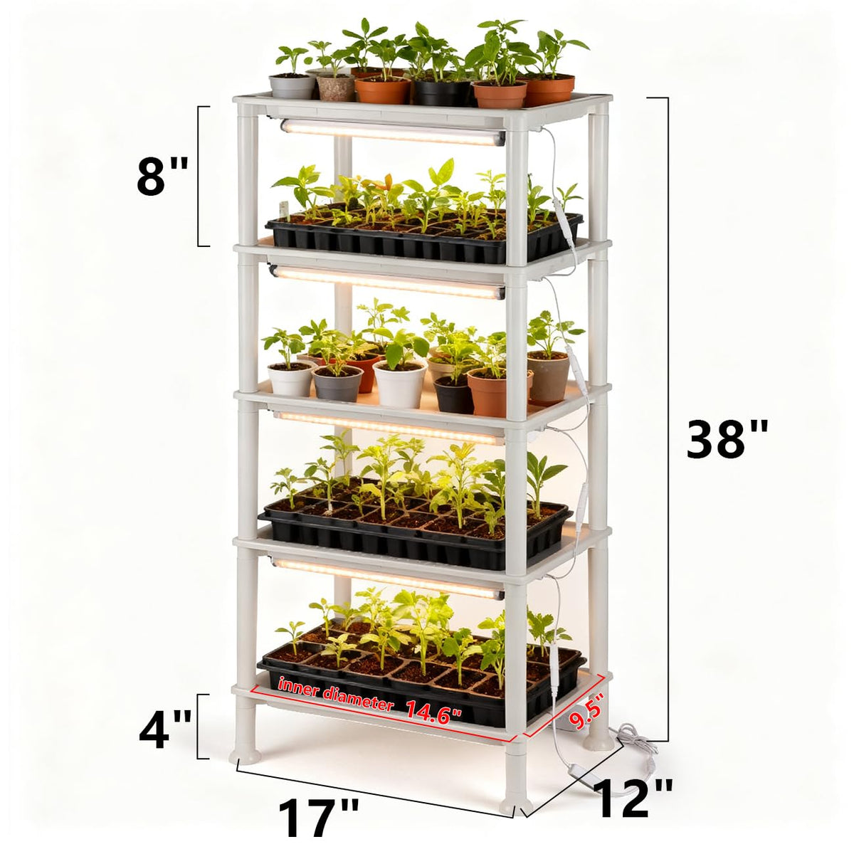 RooTrimmer 24-hour timer LED grow light provides consistent light cycles