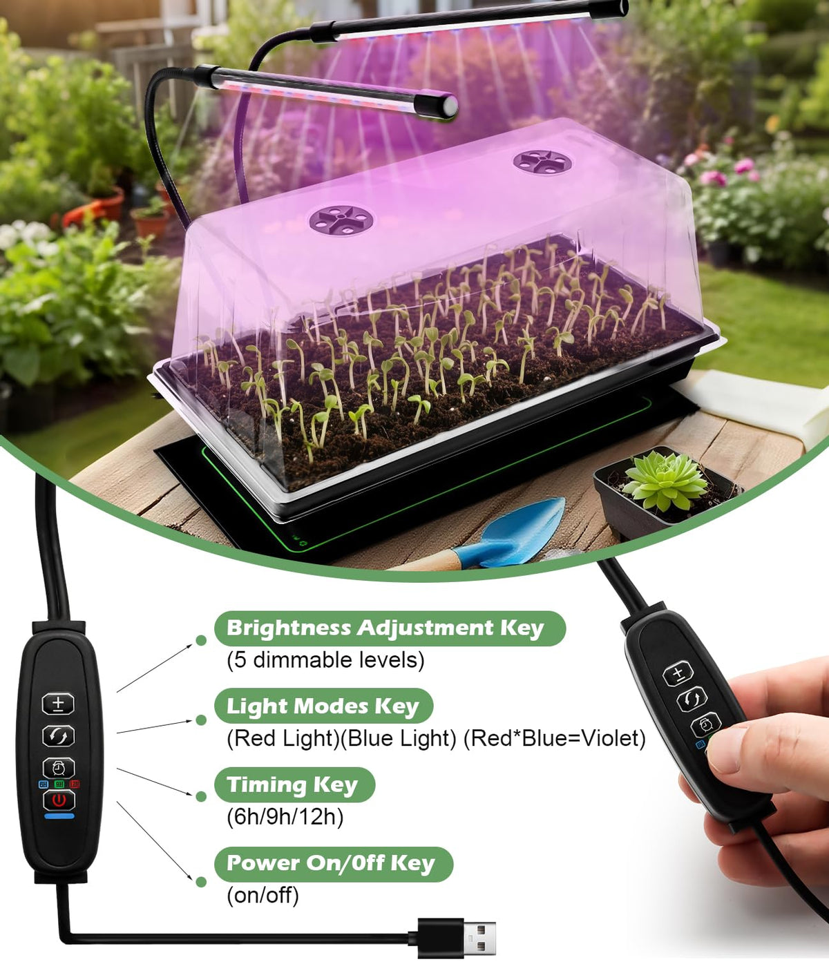 RooTrimmer LED grow light with timer supports steady growth.