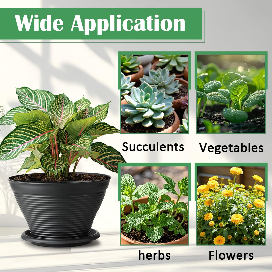 RooTrimmer lightweight plastic pot for indoor and outdoor use