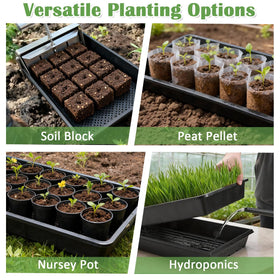 RooTrimmer mesh-bottom tray improves drainage and root health.