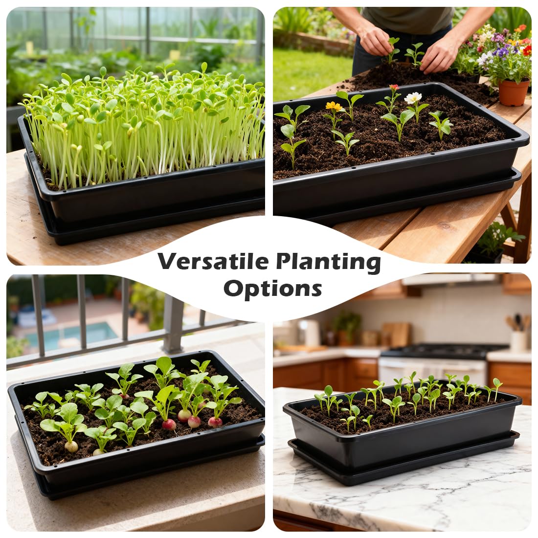 RooTrimmer microgreen tray showing multiple-use setup portable design