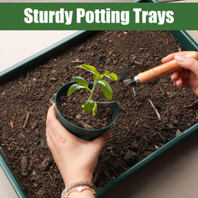 Versatile RooTrimmer trays support microgreens, wheatgrass, bonsai, and cat grass.