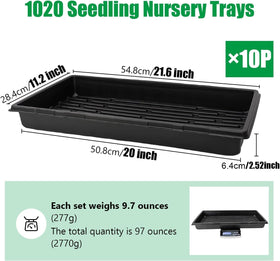 RooTrimmer microgreens seedling tray promotes uniform sprouting.