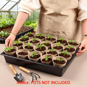 RooTrimmer-microgreens-tray-use versatile for indoor herb and greens cultures.