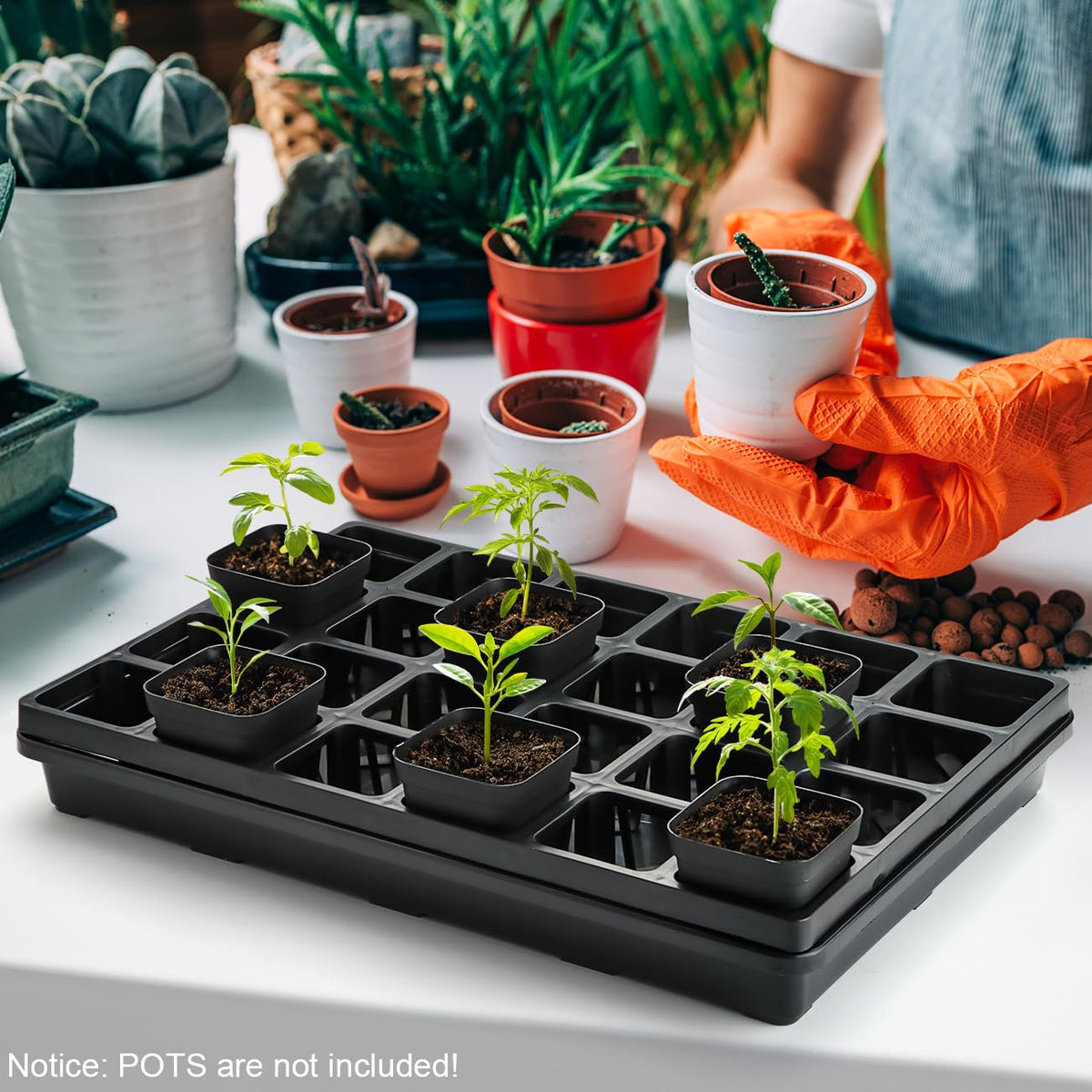 RooTrimmer microgreens and wheatgrass tray suits compact indoor setups.