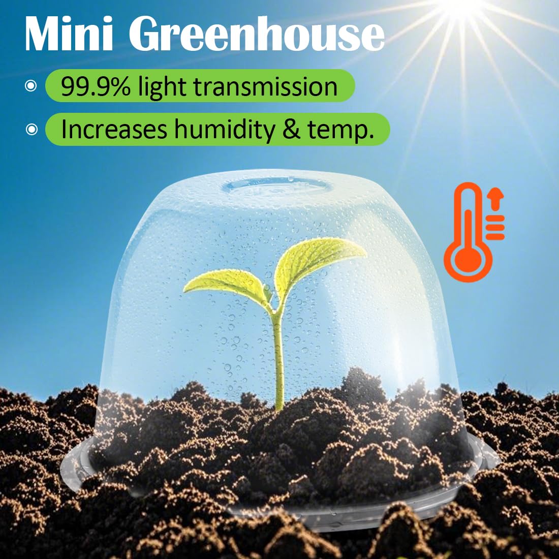 RooTrimmer mini greenhouse with ventilation holes supports airflow around seedlings