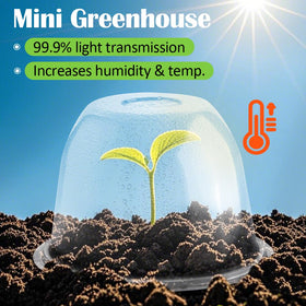 RooTrimmer mini greenhouse with ventilation holes supports airflow around seedlings