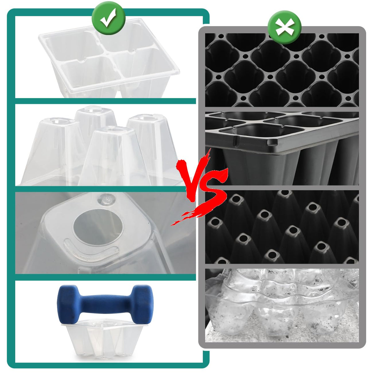 Translucent RooTrimmer trays showcase root development