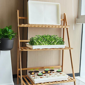 RooTrimmer pack of plant trays includes everything for starting seeds.