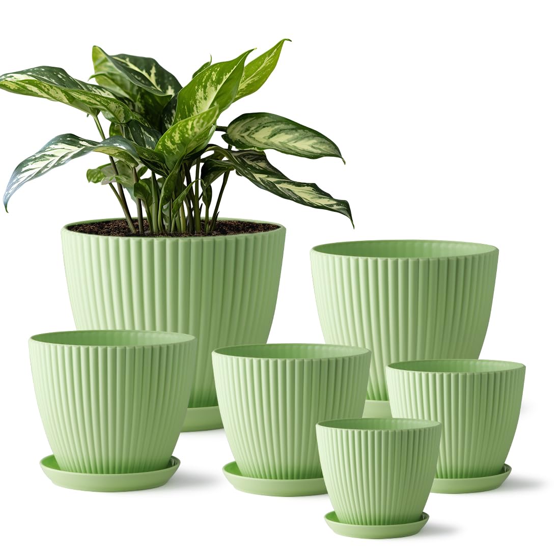 RooTrimmer 7.5-inch plant pot with saucer for healthy drainage and root health.