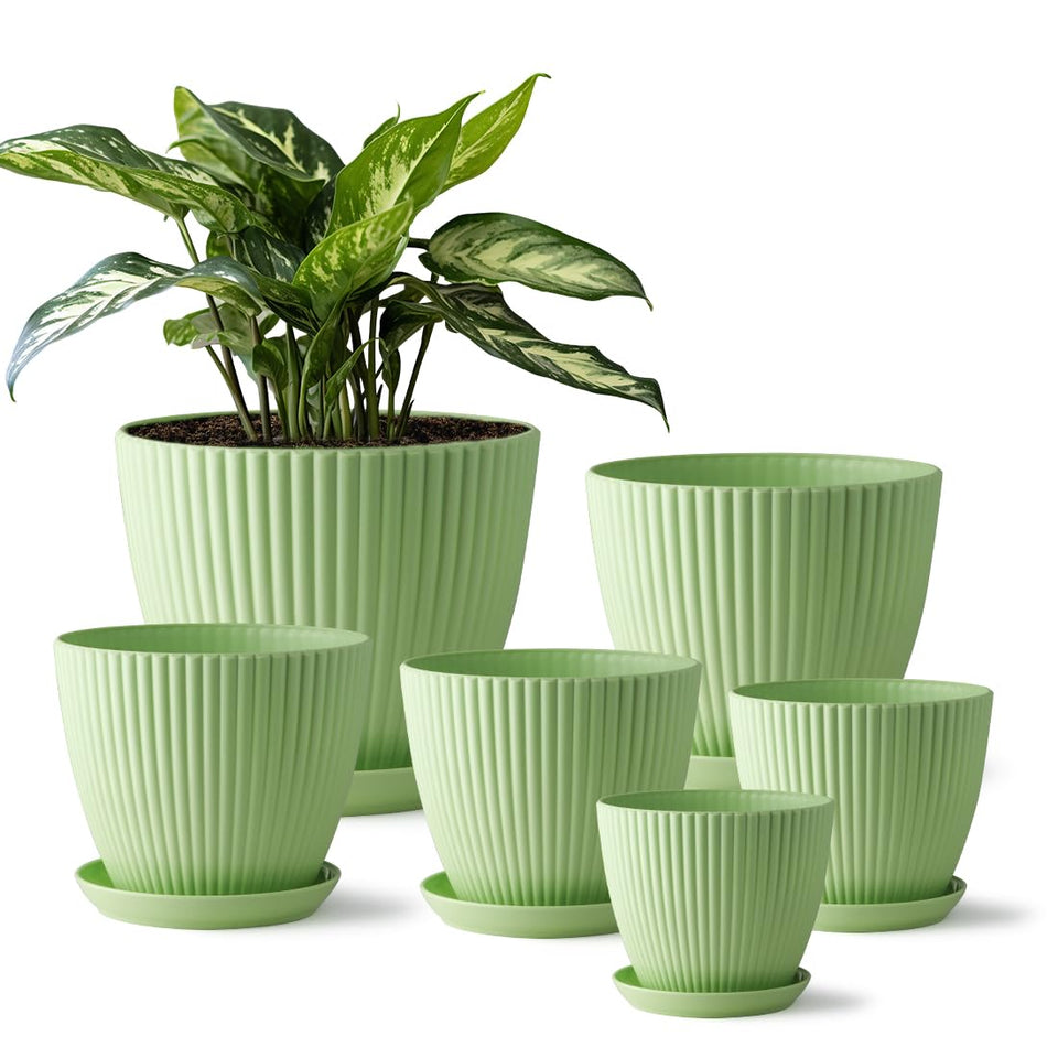 RooTrimmer 7.5-inch plant pot with saucer for healthy drainage and root health.