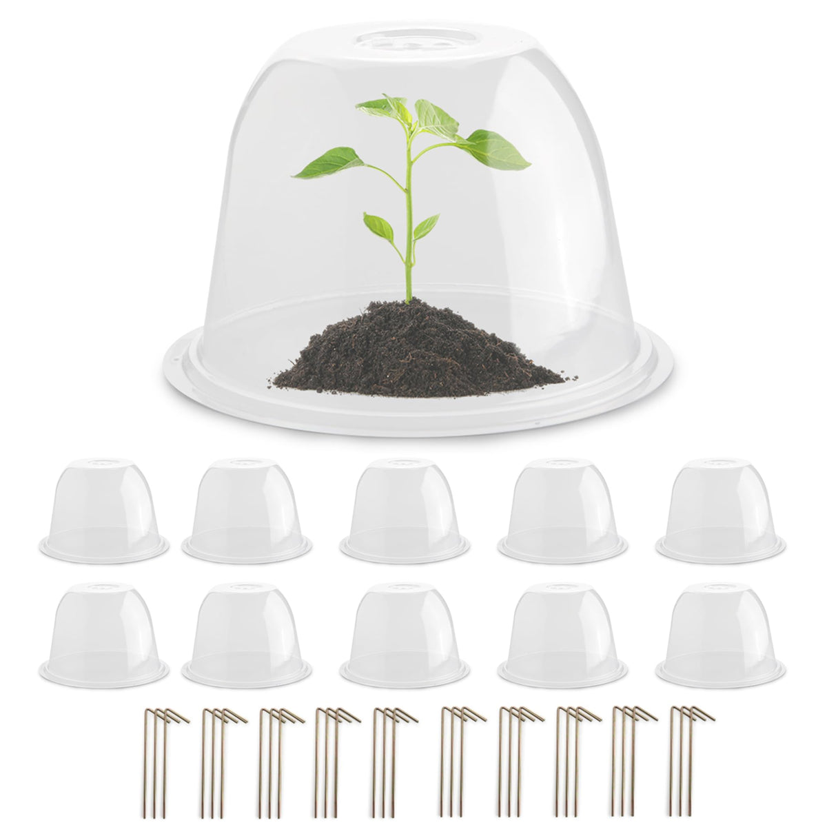 RooTrimmer plant protector dome front view shields seedlings from animals while remaining clear