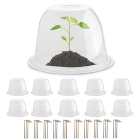 RooTrimmer plant protector dome front view shields seedlings from animals while remaining clear