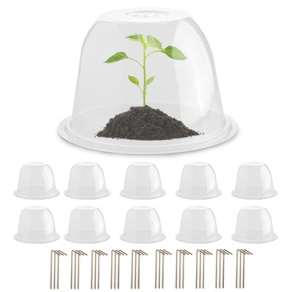 RooTrimmer plant protector dome front view shields seedlings from animals while remaining clear