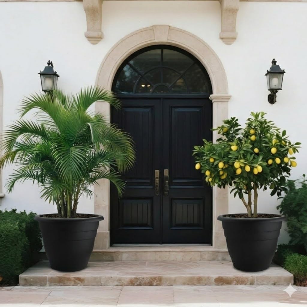 RooTrimmer pot paired with a fiddle leaf fig for a statement indoor tree