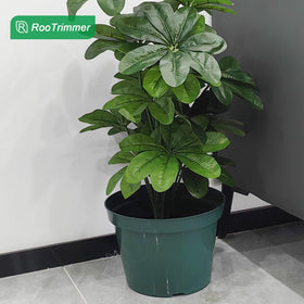 RooTrimmer planter compatible with mint, orchid, cactus, and more.
