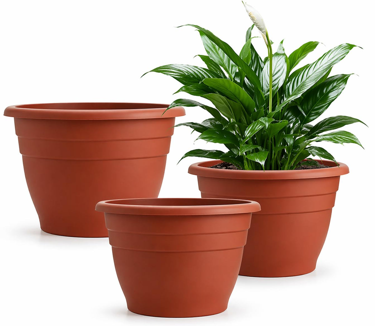 RooTrimmer pottery red 11-inch pot front view for medium plants indoors