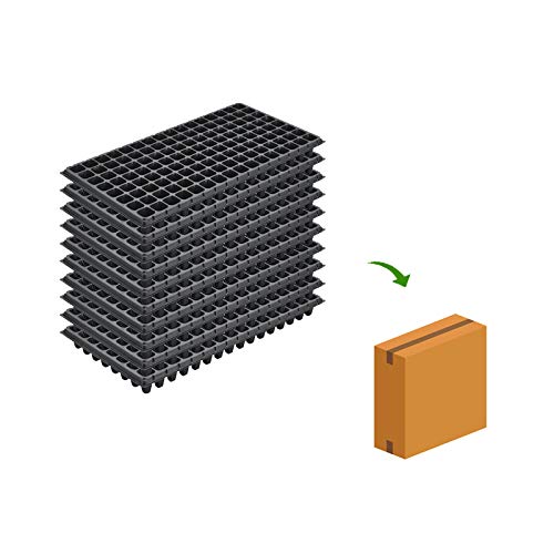 RooTrimmer 128-cell trays enable precise spacing for healthy seedling development.
