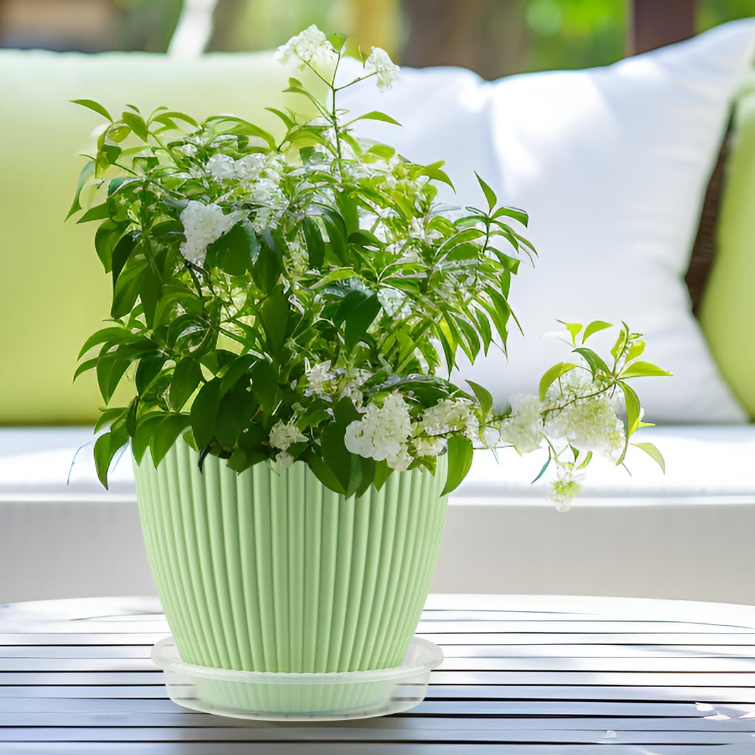RooTrimmer raised-edge 10-inch saucer catches spills and protects surfaces.